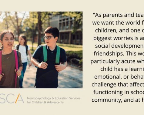 social-development-and-friendships